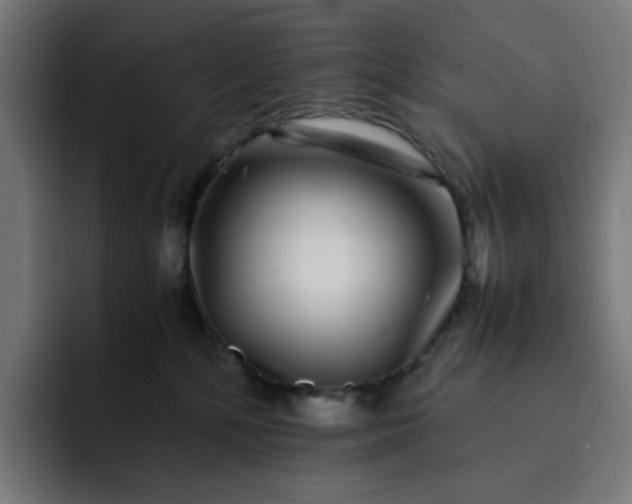 X0000093160232200710101200