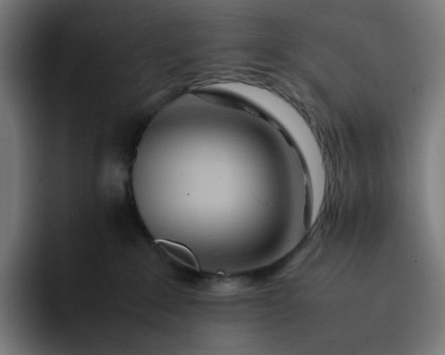 X0000093160235200710101159