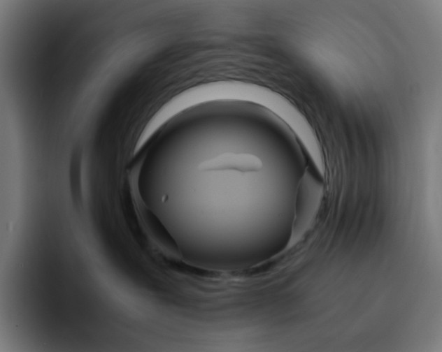 X0000093160239200710101159
