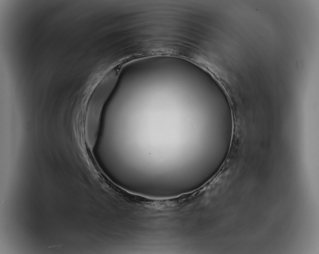 X0000093160241200710101159