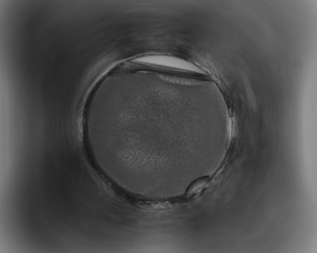 X0000093160243200710101159