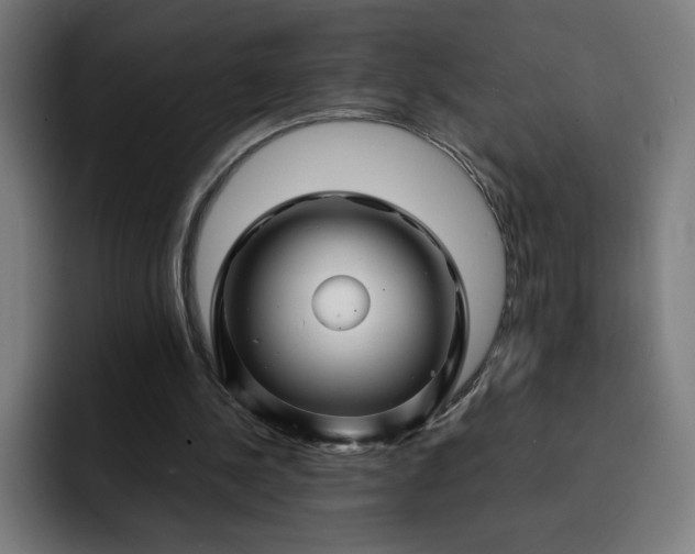 X0000093160244200710101159