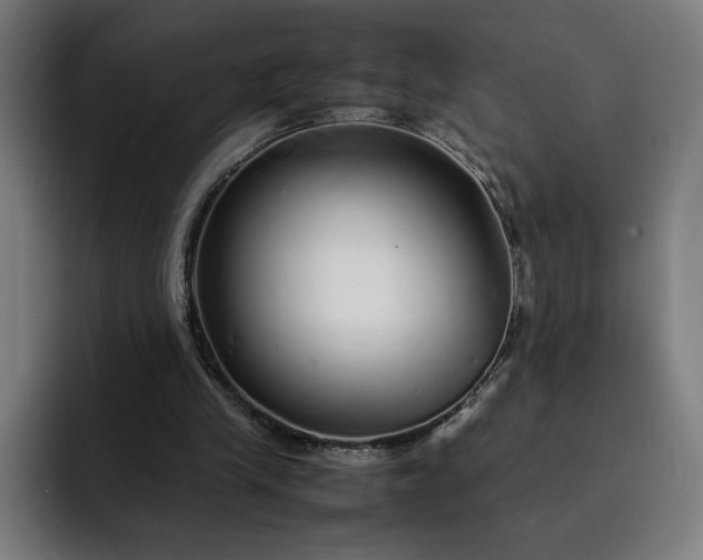 X0000093160245200710101159