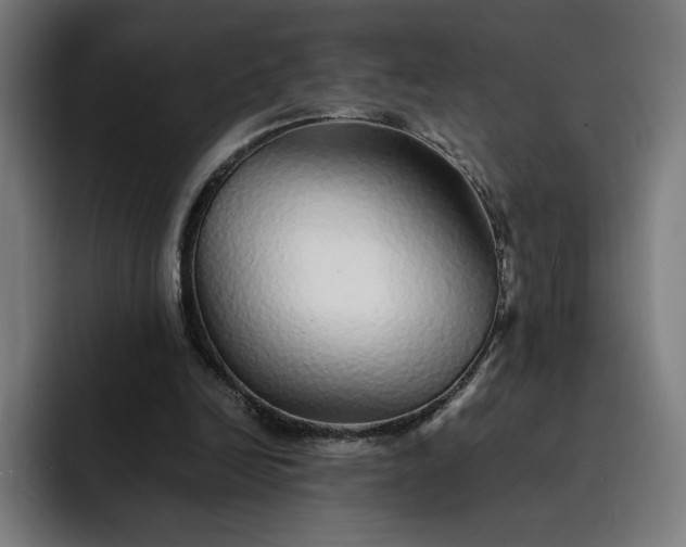 X0000093160246200710101159