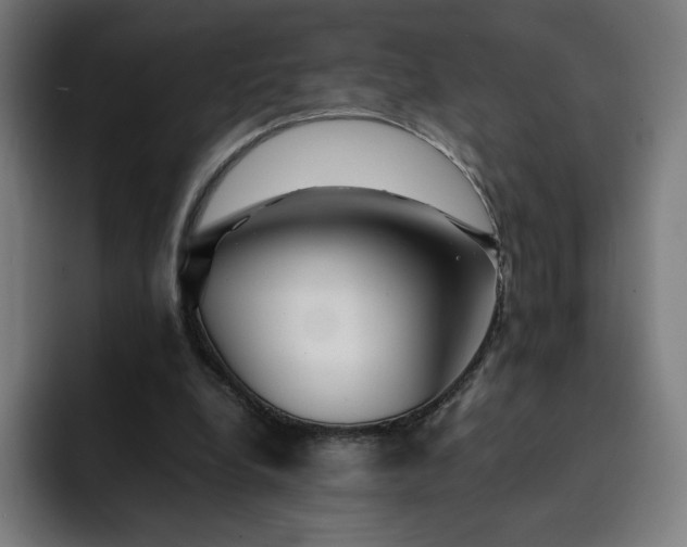 X0000093160248200710101159