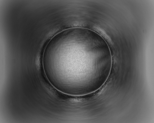 X0000093160250200710101159