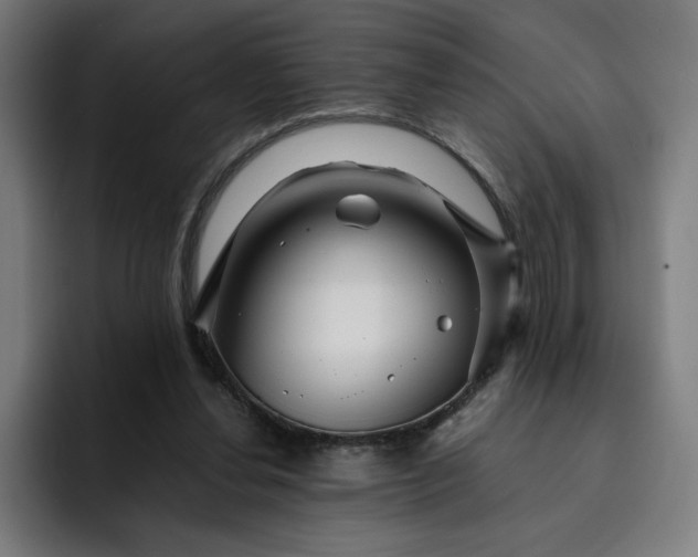 X0000093160252200710101159