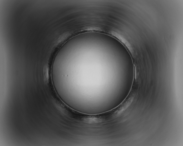 X0000093160253200710101159