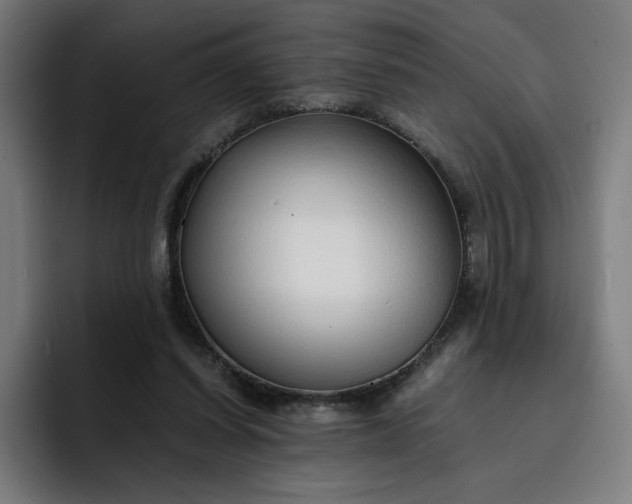 X0000093160254200710101159