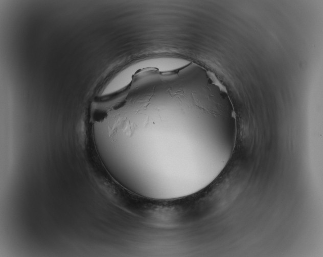 X0000093160256200710101159