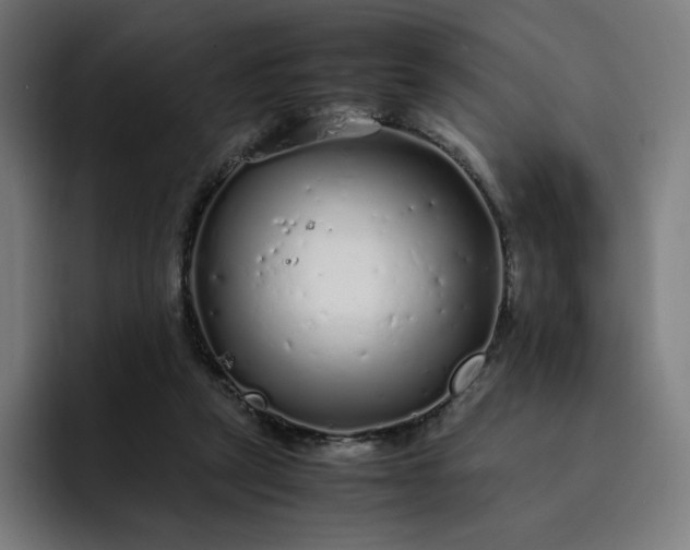 X0000093160257200710101159