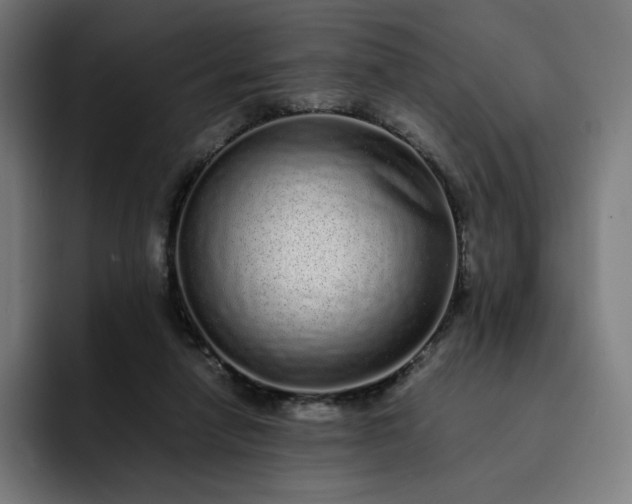 X0000093160258200710101159