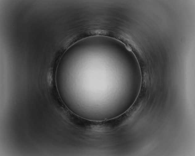 X0000093160259200710101159