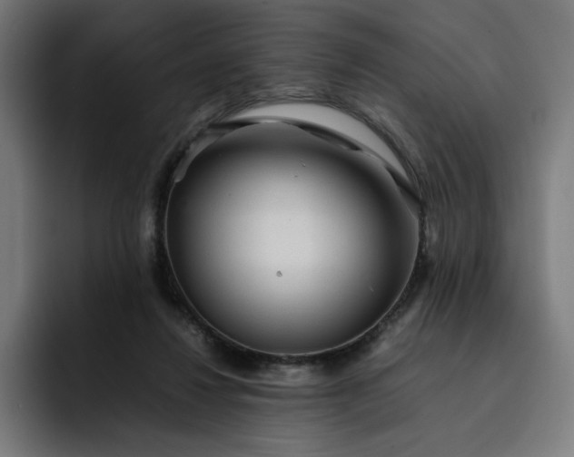 X0000093160260200710101159