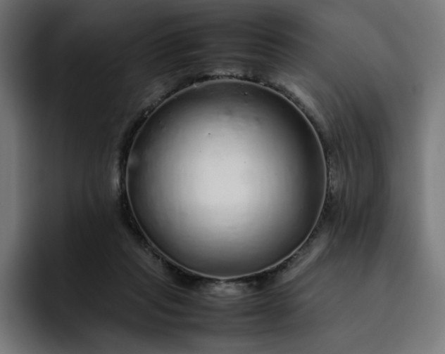 X0000093160261200710101159