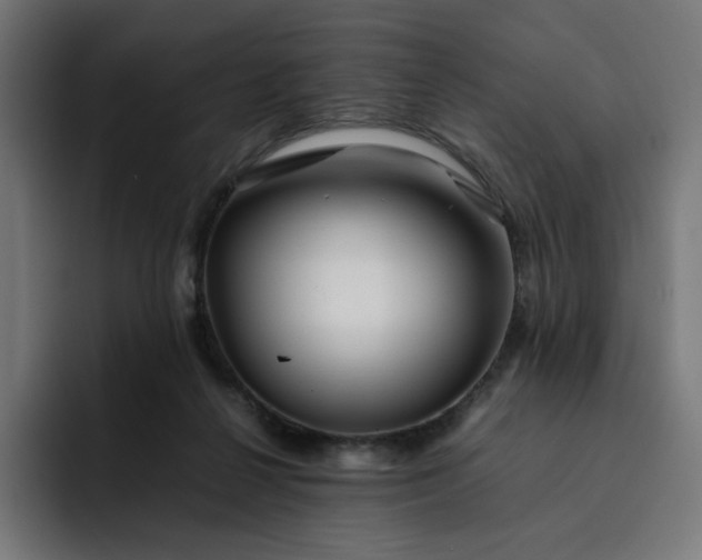 X0000093160264200710101159