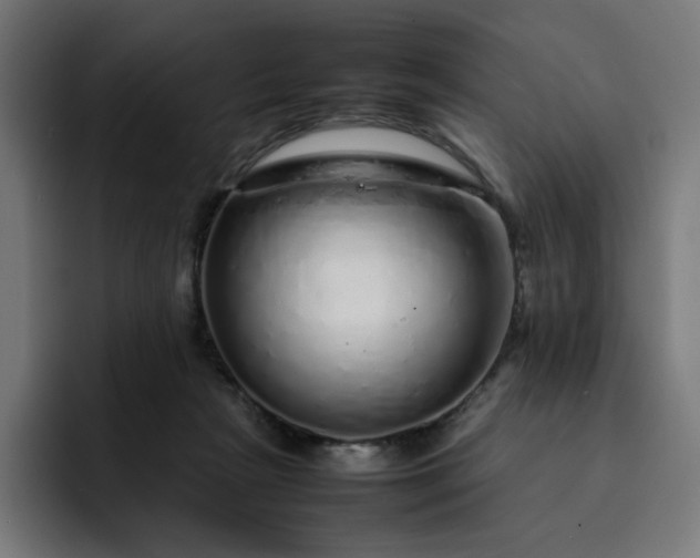 X0000093160265200710101159