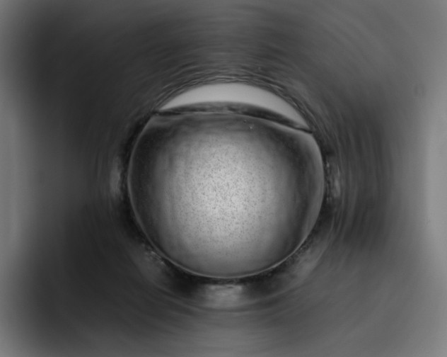 X0000093160266200710101159