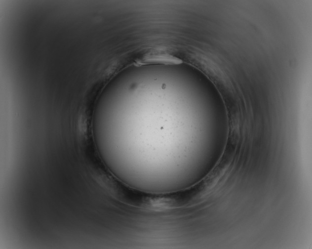 X0000093160268200710101159