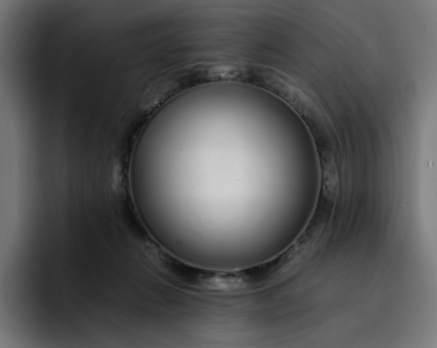X0000093160270200710101159
