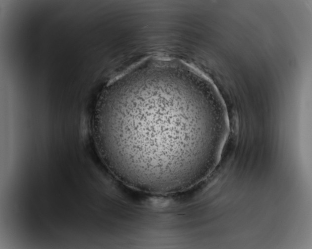 X0000093160272200710101159