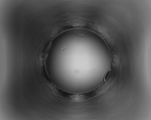 X0000093160273200710101159