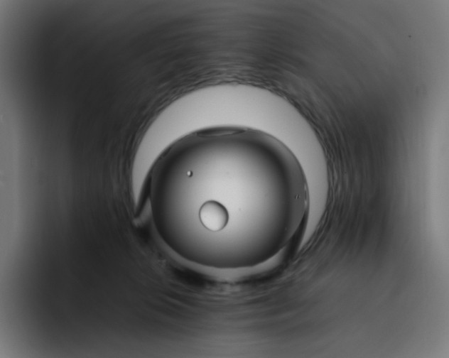 X0000093160276200710101159