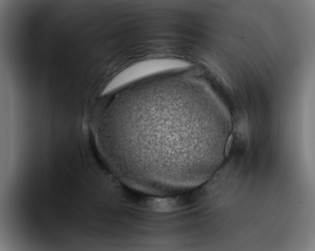 X0000093160277200710101159