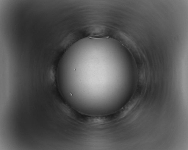 X0000093160282200710101159