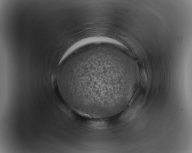 X0000093160284200710101159