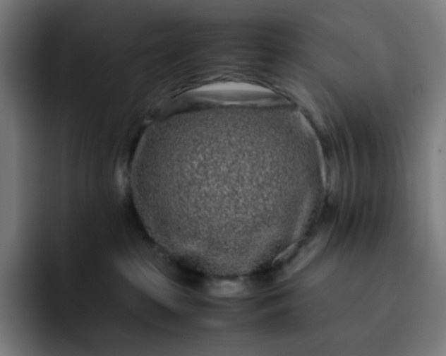 X0000093160285200710101159