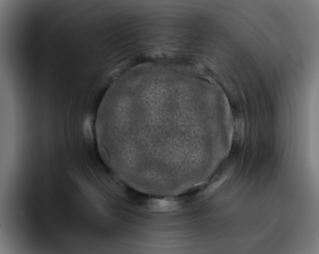 X0000093160286200710101159