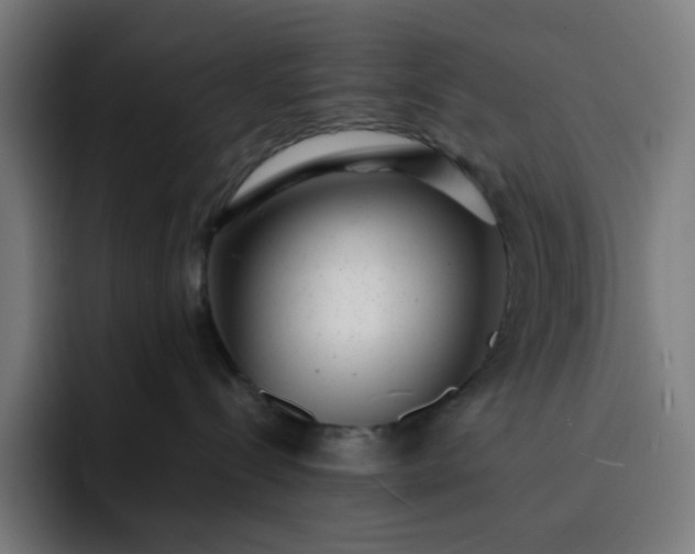 X0000093160288200710101159