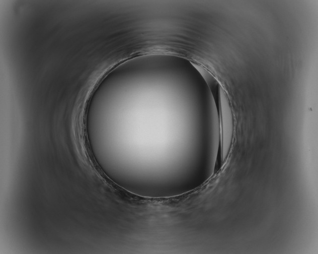 X0000093160289200710101159