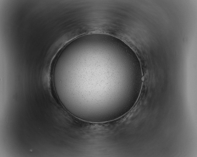 X0000093160290200710101159
