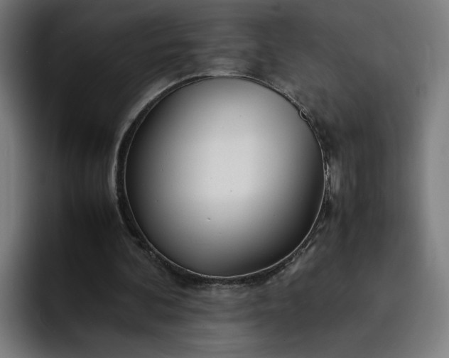 X0000093160292200710101159