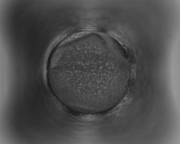 X0000093160293200710101159