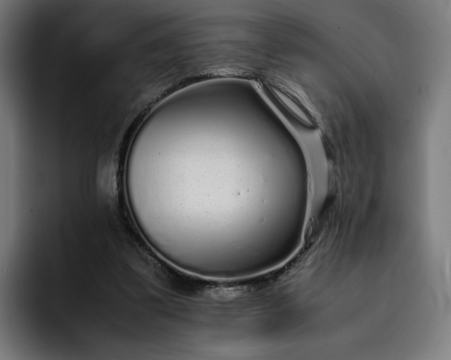 X0000093160299200710101159
