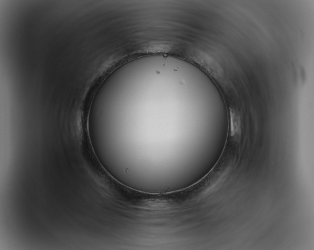 X0000093160300200710101159