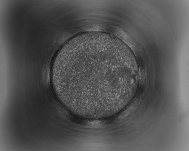 X0000093160301200710101159
