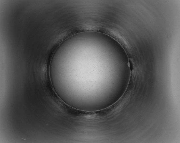 X0000093160306200710101159