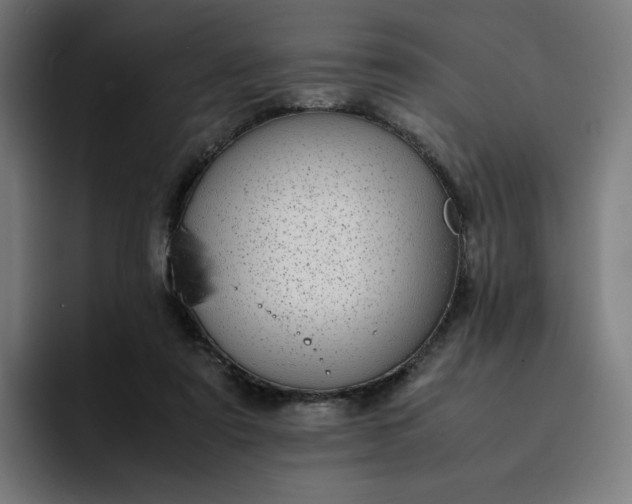 X0000093160307200710101159