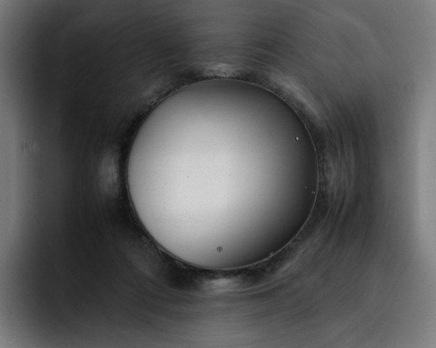 X0000093160312200710101159