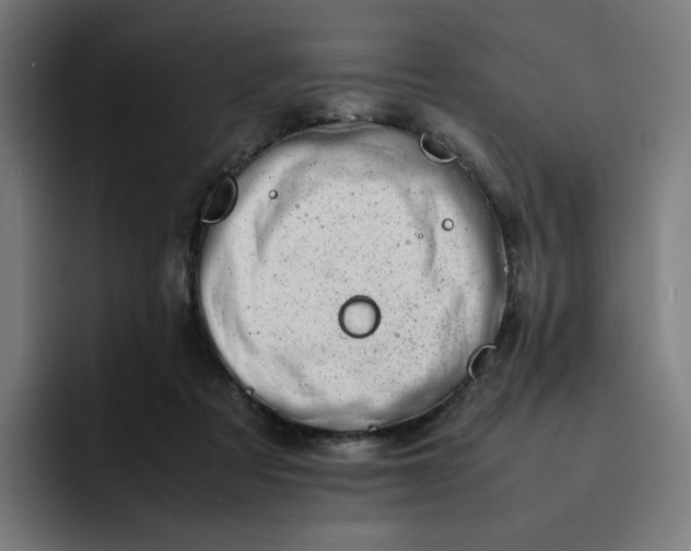 X0000093160313200710101159