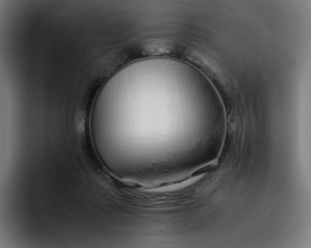 X0000093160315200710101159