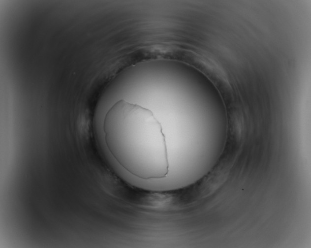 X0000093160328200710101158