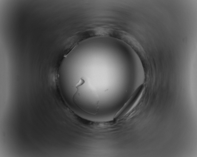 X0000093160329200710101158