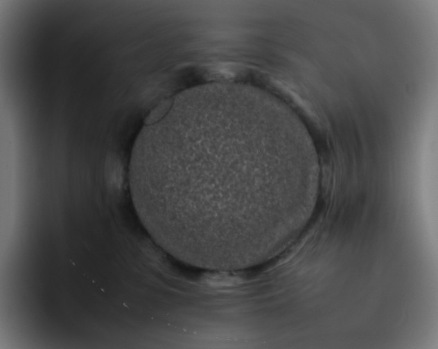X0000093160331200710101158