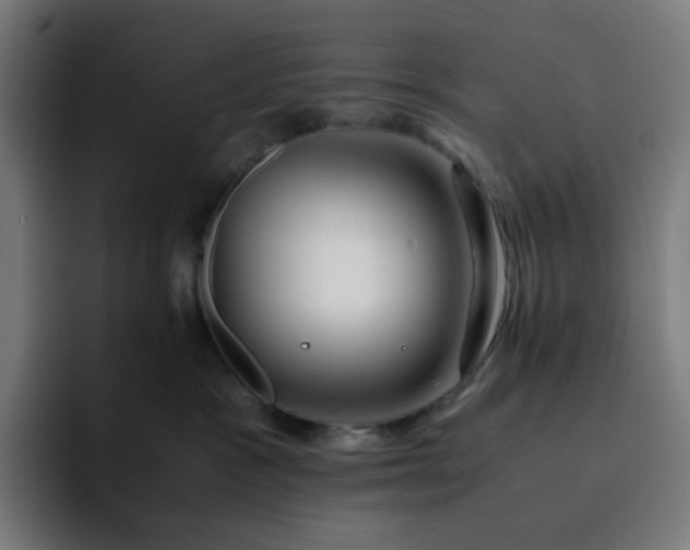 X0000093160333200710101158