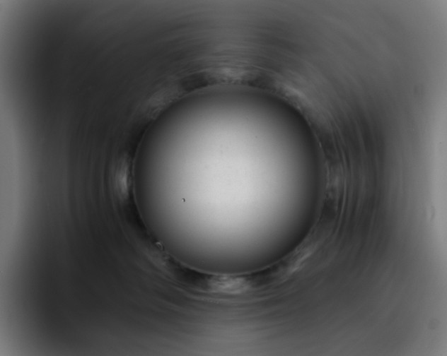 X0000093160334200710101158